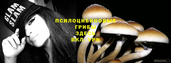 гашиш Новодвинск