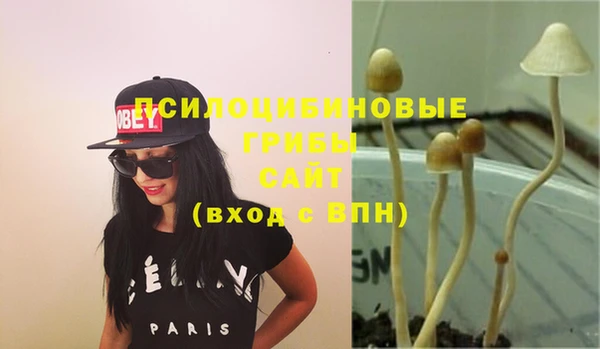 PSILOCYBIN Елабуга