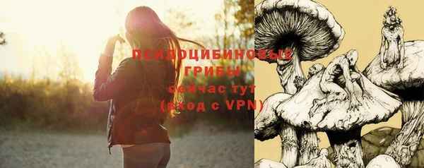 гидропоника Новокубанск