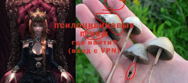 гашиш Новодвинск